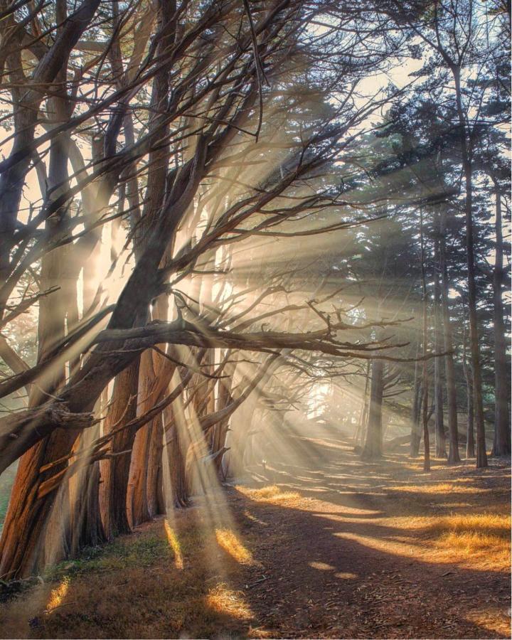 Stunning Oceanview Coastal Home Beach Trails Family Activities Montara Экстерьер фото